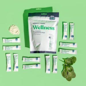 Plant-Based Protein Powder