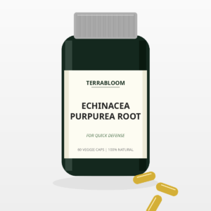 BioPlant Echinacea Purpurea Root